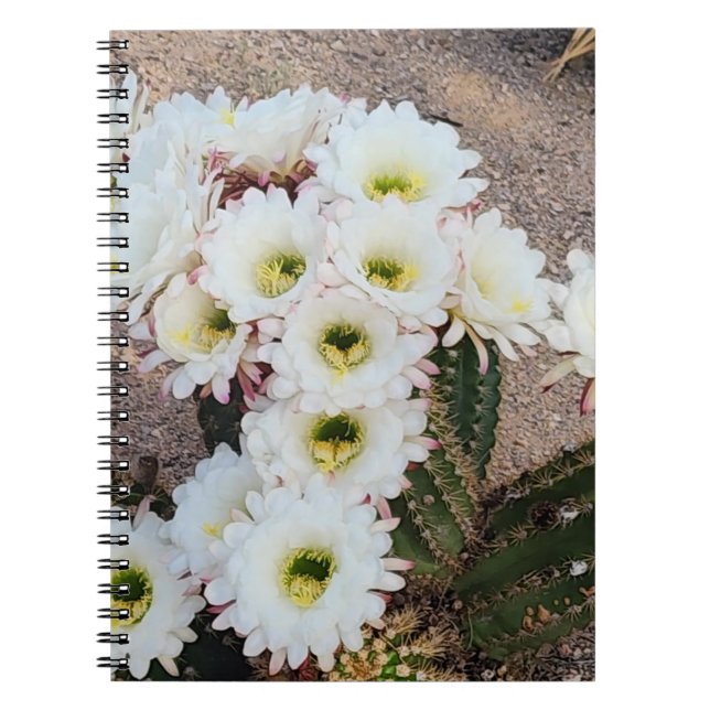 Argentine Cactus Flower Spiral Notebook (Front)