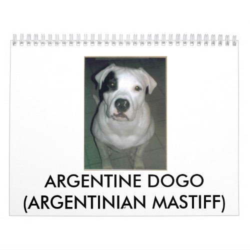 Argentine Dogo Calendar