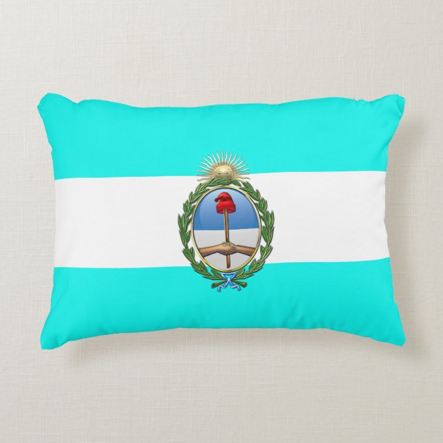 Argentinian flag accent pillow (Front)