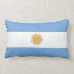 Argentinian flag pillow Argentinian flag pillow