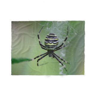 Argiope bruennichi fleece blanket