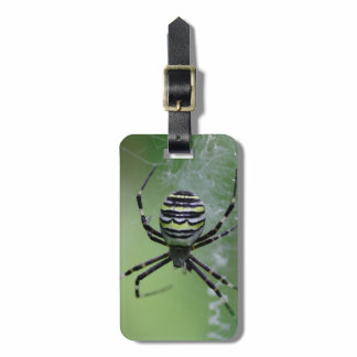 Argiope bruennichi luggage tag