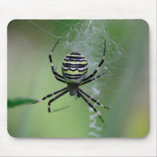 Argiope bruennichi mouse pad
