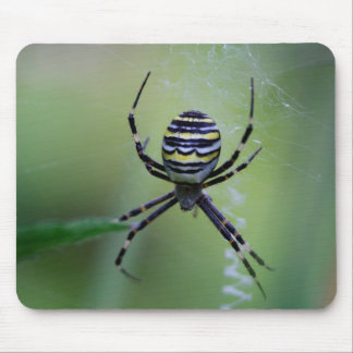 Argiope bruennichi mouse pad