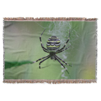 Argiope bruennichi throw blanket