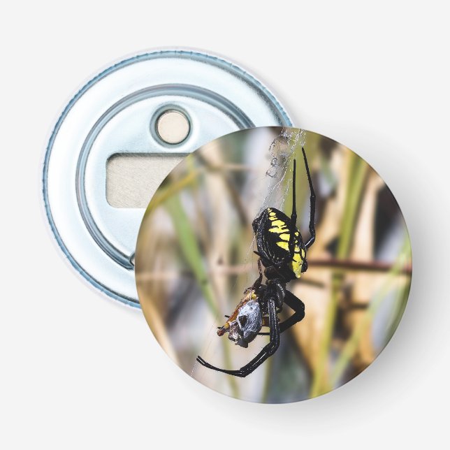 Argiope Garden Spider Magnet Backed Bottle Opener (Front)