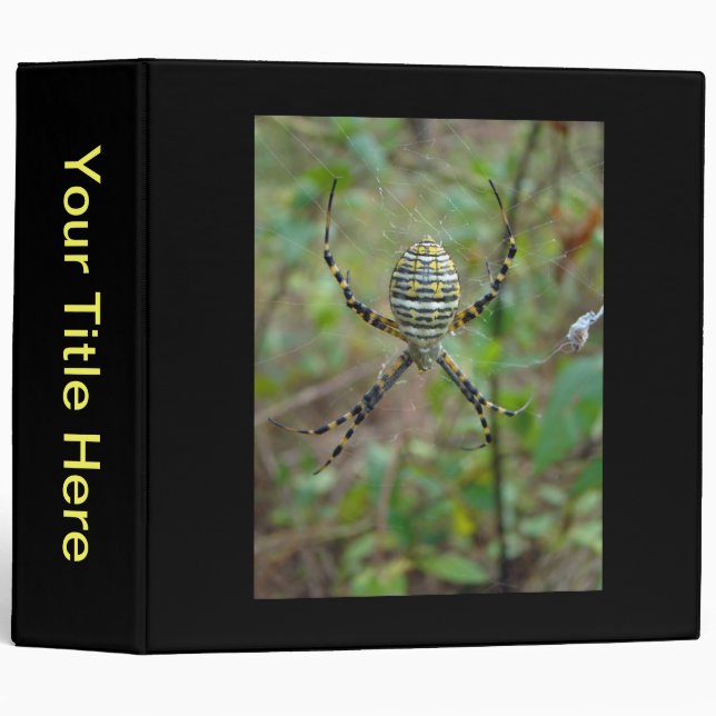 Argiope Orb Weaver Spiders 3 Ring Binder (Front/Spine)