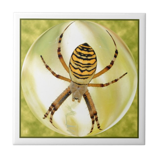 Argiope spider in sphere tile (Front)