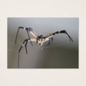Argiope Spider Lover Gift (Front)