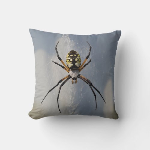 Argiope Spider pillow