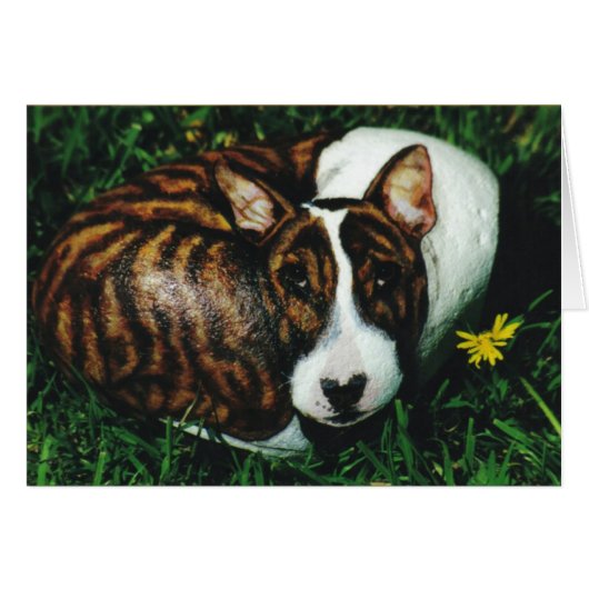 "Argos" dog rock card (Front Horizontal)