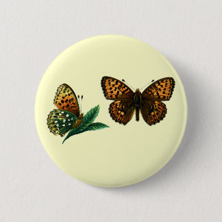 Argynnis aglaja button