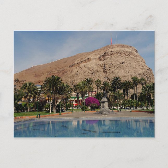Arica, Chile Postcard (Front)