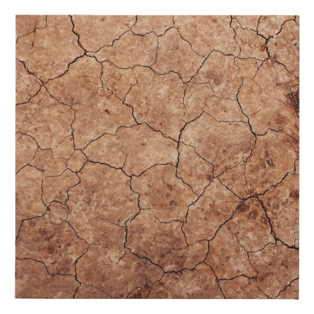 Arid cracked erosion cracks desert faux canvas print (Front)