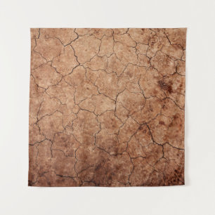 Arid cracked erosion cracks desert tapestry