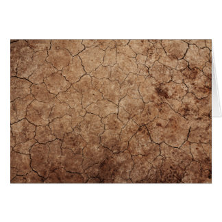 Arid Dry Cracked Earth