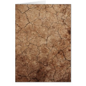 Arid Dry Cracked Earth (Front)