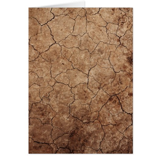 Arid Dry Cracked Earth Cards (Front)
