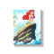 Ariel | Adventure Begins With You