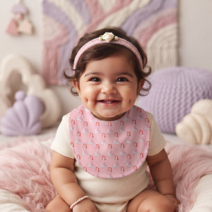 Ariel Baby Bib