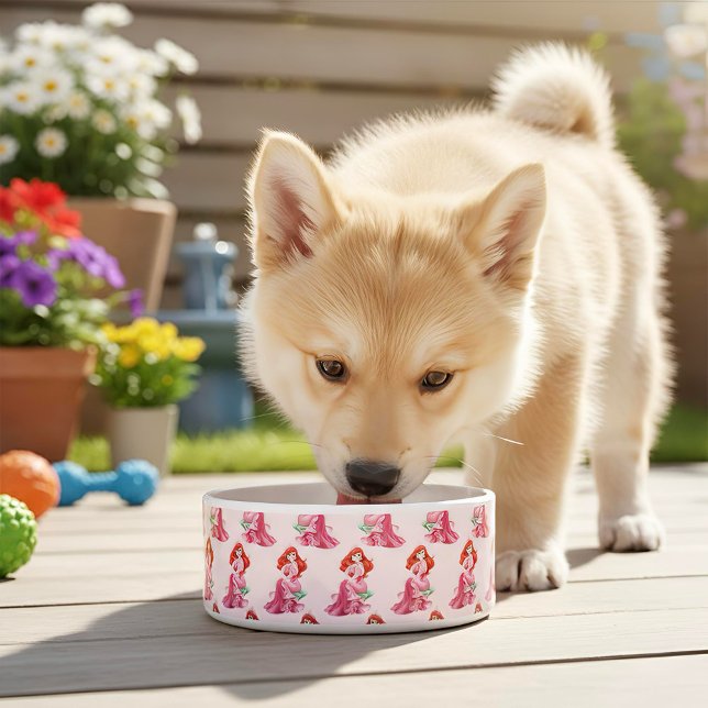 Ariel Bowl (Creator Uploaded)