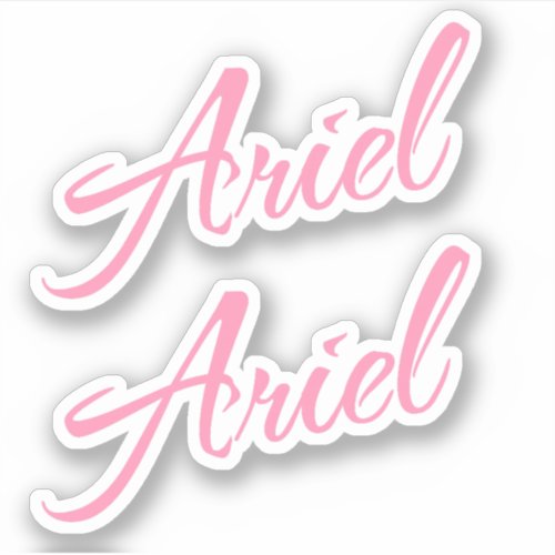 Ariel Decorative Name in Pink x2 Sticker