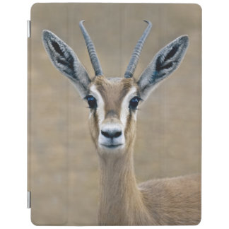 Ariel iPad Cover (all models)
