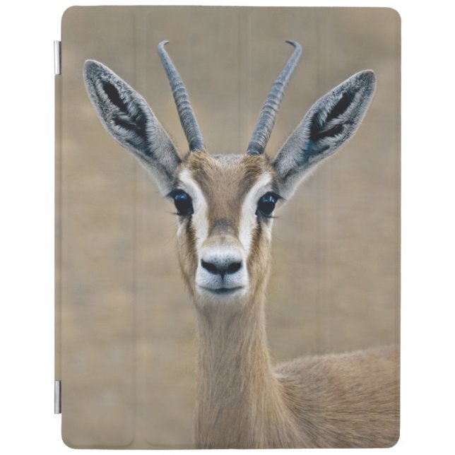Ariel iPad Cover (all models) (Front)