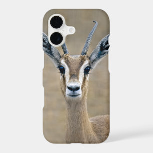 Ariel iPhone 11 Case