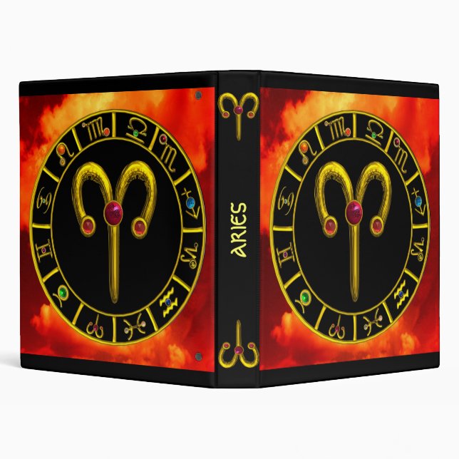 ARIES 3 RING BINDER (Background)