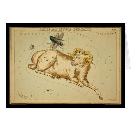 Aries and Musca Borealis (Front Horizontal)