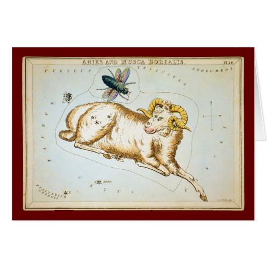 Aries and Musca Borealis Cards (Front Horizontal)