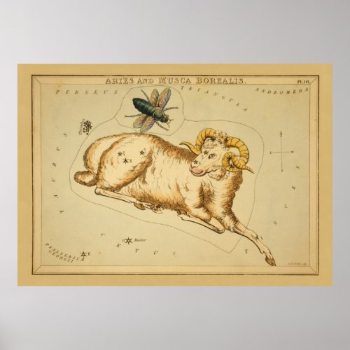 Aries and Musca _ Vintage Sign of the Zodiac Image