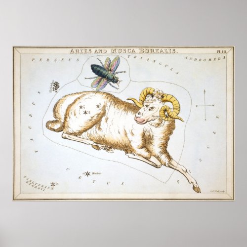 Aries Astrological Drawing Poster