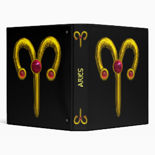 ARIES BINDER