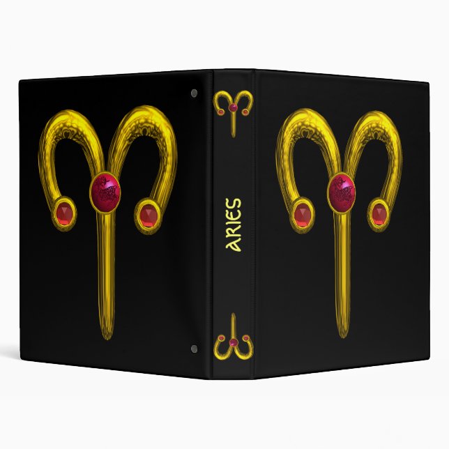 ARIES BINDER (Background)