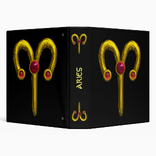 ARIES BINDER