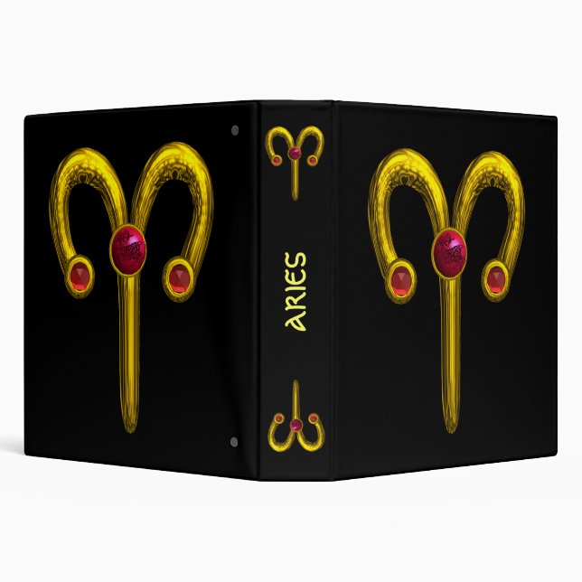 ARIES BINDER (Background)