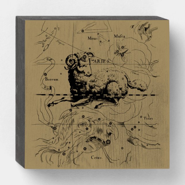 Aries Constellation Map Engraving by Hevelius Wooden Box Sign (Front Horizontal)