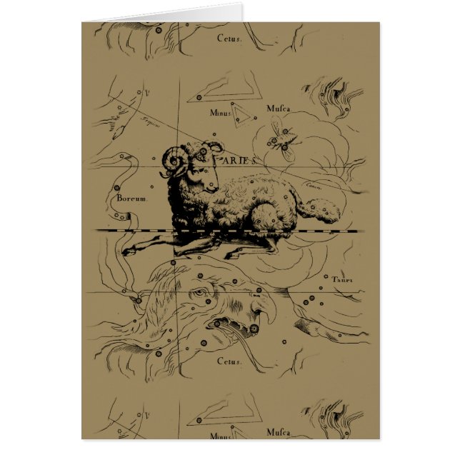 Aries Constellation Map Hevelius 1690 Cards (Front)