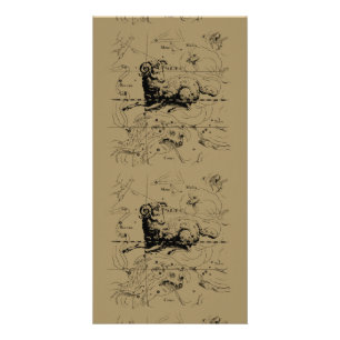 Aries Constellation Map Hevelius circa 1690 Card