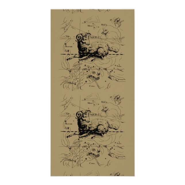 Aries Constellation Map Hevelius circa 1690 Card (Front)