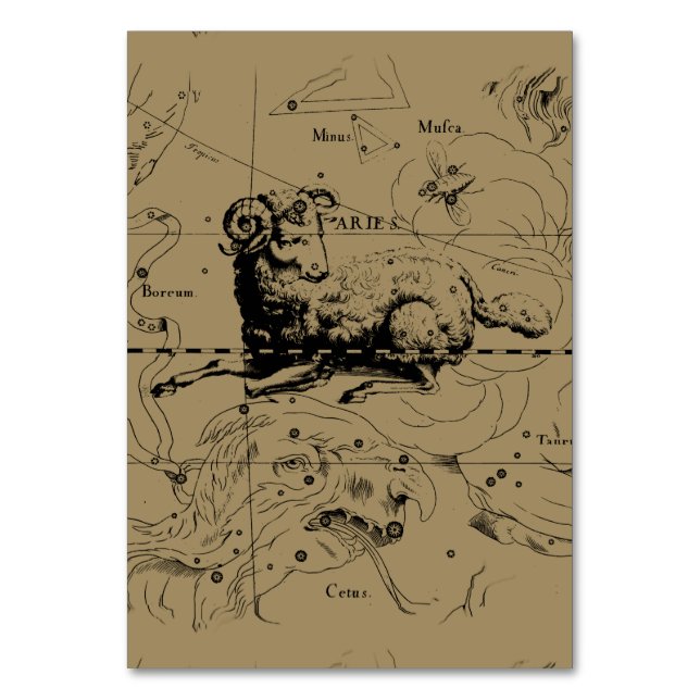 Aries Constellation Map Hevelius circa 1690 Table Number (Front)