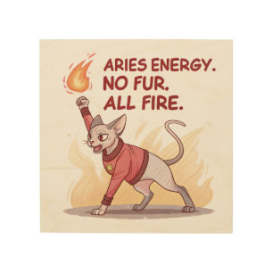 Aries Energy Sphynx Cat No Fur All Fire Art
