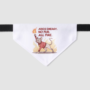 Aries Energy Sphynx Cat No Fur All Fire Art Pet Bandana Collar