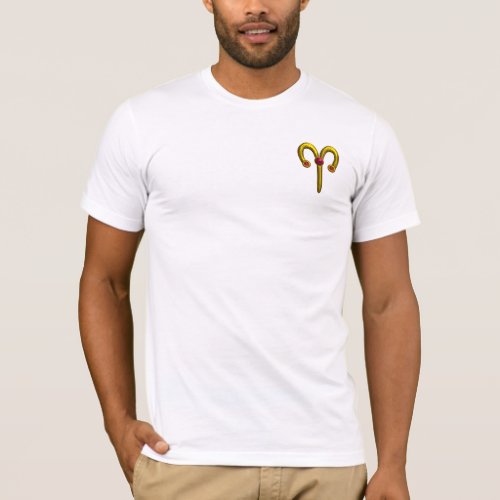 ARIES for all colors T_Shirt
