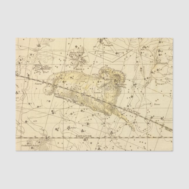 Aries, Musca Borealis Tissue Paper (Front)