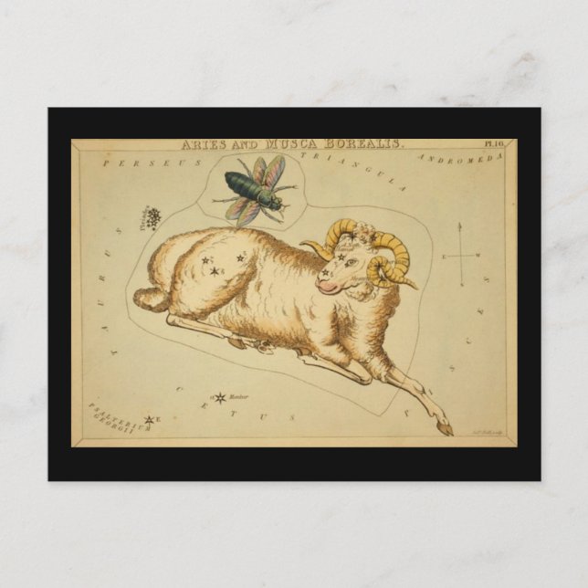 Aries Postcard (Front)