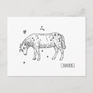 Aries Postcard
