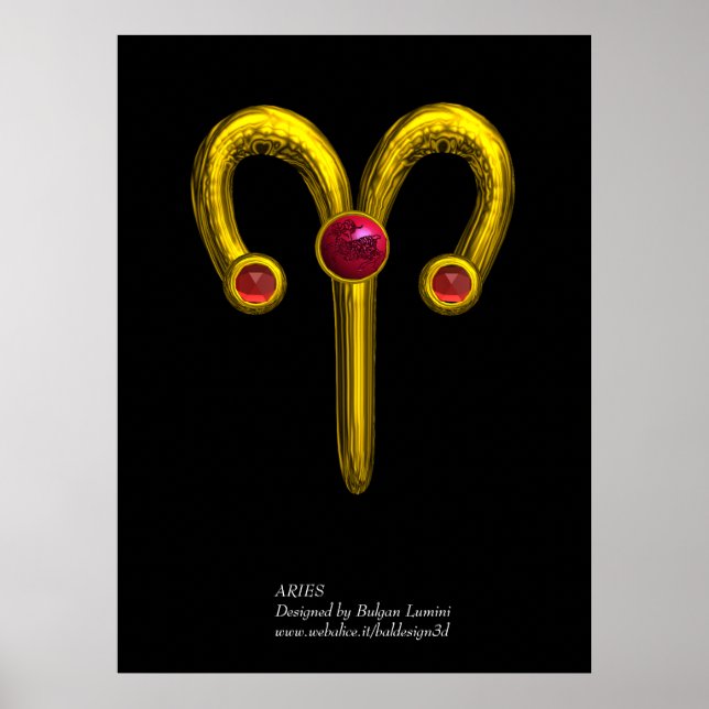ARIES POSTER (Front)